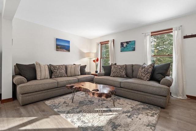 living room featuring light hardwood / wood-style floors and a wealth of natural light