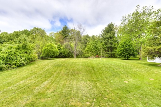 36 Winthrop St, West Boylston, MA 01583 - view of grassy yard