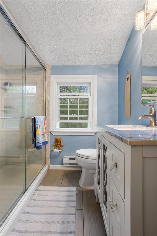 bathroom with vanity, a textured ceiling, a stall shower, toilet, and wood finished floors