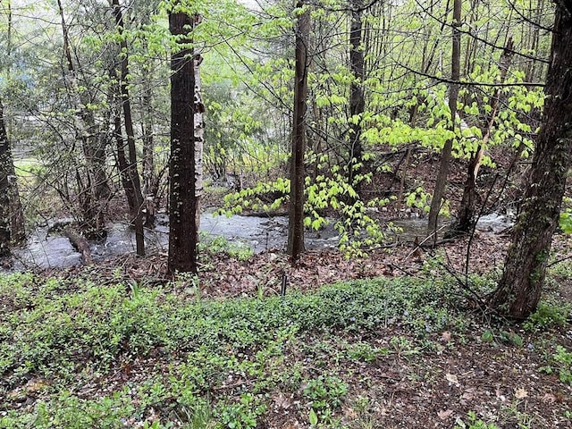 view of tree filled area