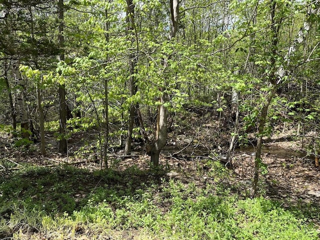 view of undeveloped land