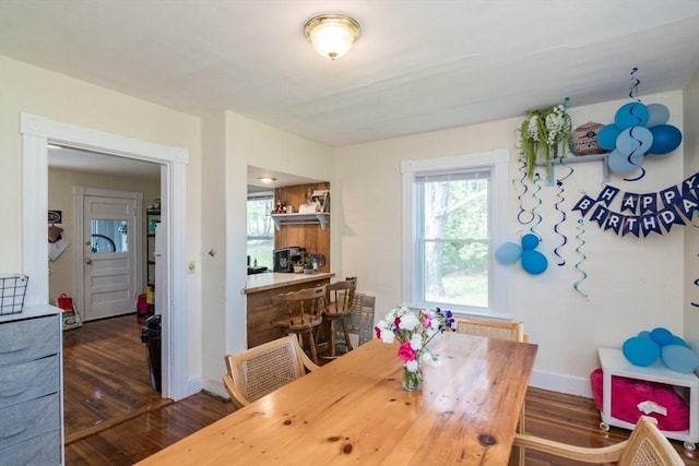 dining space featuring baseboards, a healthy amount of sunlight, and wood finished floors