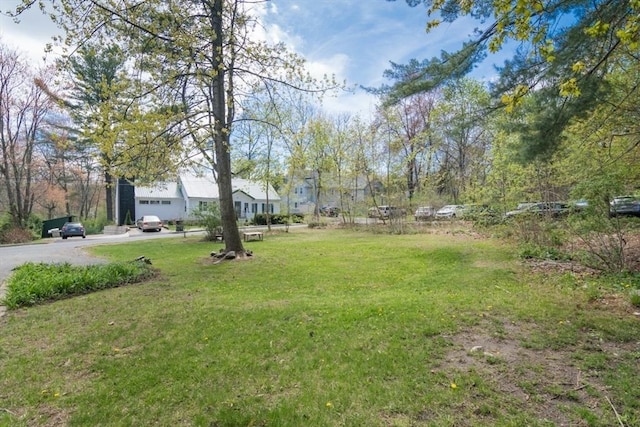 view of yard with driveway