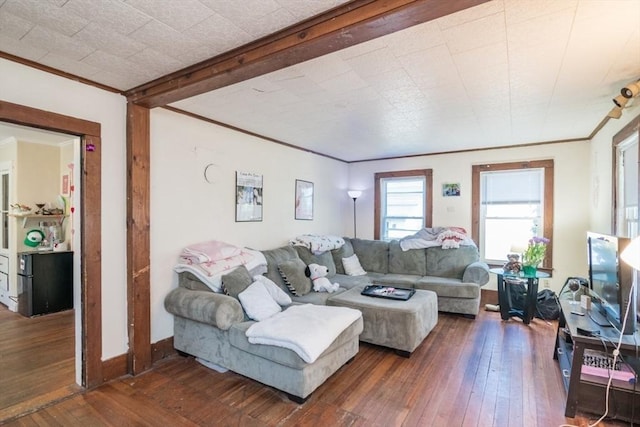 living area featuring crown molding and dark wood finished floors