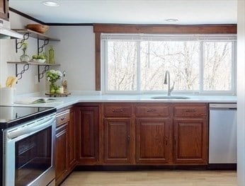 kitchen with light wood-type flooring, sink, ventilation hood, and stainless steel appliances