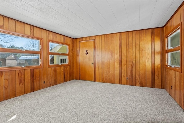 carpeted empty room featuring wood walls