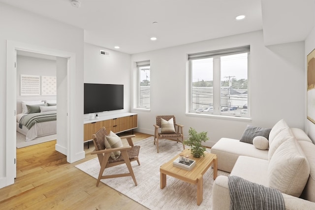 living room featuring light hardwood / wood-style flooring