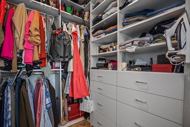 191 Washington St Unit 308, Boston, MA 02135 - view of spacious closet