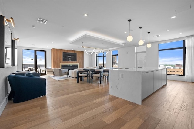 191 Washington St Unit 308, Boston, MA 02135 - kitchen featuring modern cabinets, healthy amount of natural light, light wood-type flooring, a glass covered fireplace, and recessed lighting