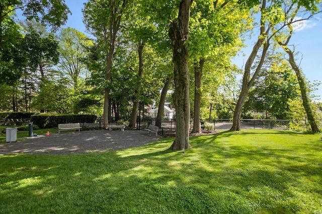 191 Washington St Unit 308, Boston, MA 02135 - view of yard featuring view of wooded area