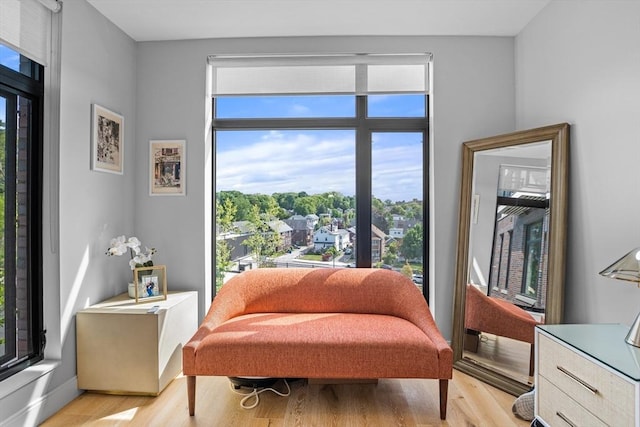 191 Washington St Unit 308, Boston, MA 02135 - living area featuring light wood-style floors