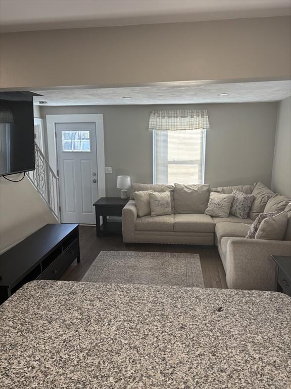 living room with dark hardwood / wood-style floors