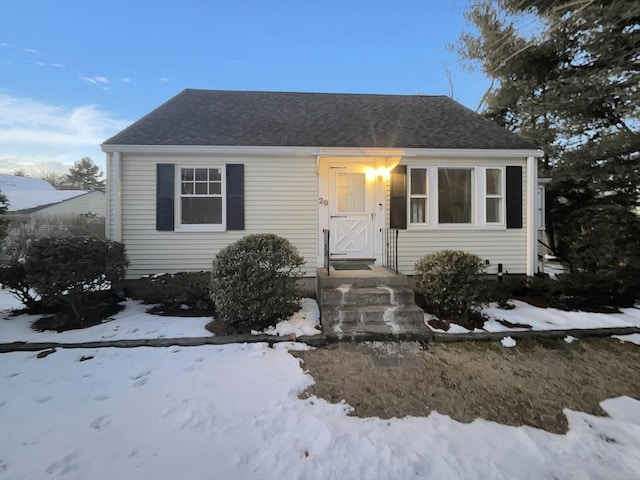 bungalow featuring a shingled roof