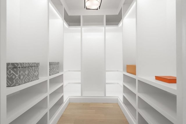 walk in closet with light wood-style flooring