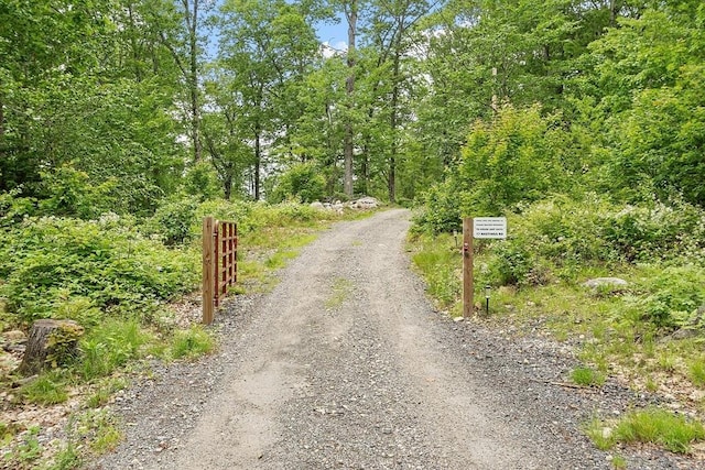 17 Hastings Rd, Ashburnham, MA 01430 - view of dirt / gravel road featuring a wooded view