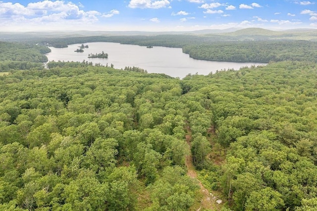 17 Hastings Rd, Ashburnham, MA 01430 - aerial view of a forest and a nearby body of water
