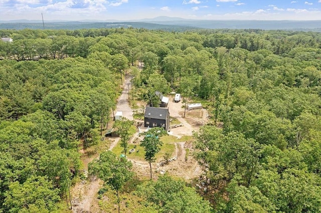 17 Hastings Rd, Ashburnham, MA 01430 - aerial overview of property's location with a forest