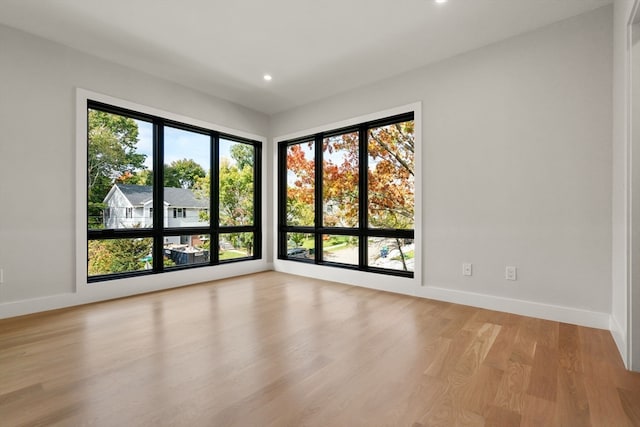 spare room with a wealth of natural light and light hardwood / wood-style flooring