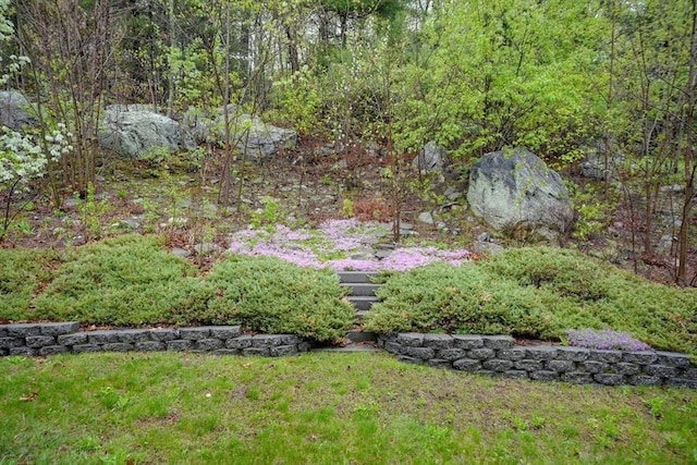 5 Rollie Shepard Dr, Millbury, MA 01527 - view of green lawn featuring a forest view
