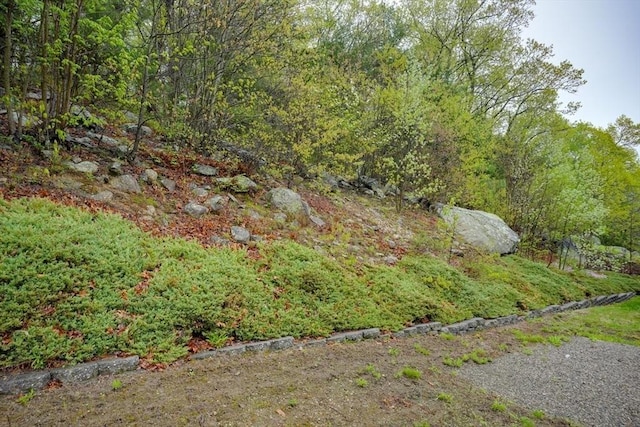5 Rollie Shepard Dr, Millbury, MA 01527 - view of yard with a view of trees