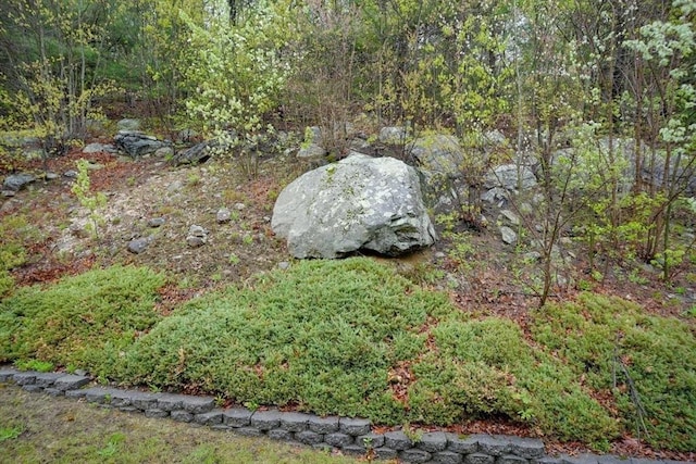 5 Rollie Shepard Dr, Millbury, MA 01527 - exterior view of a forest
