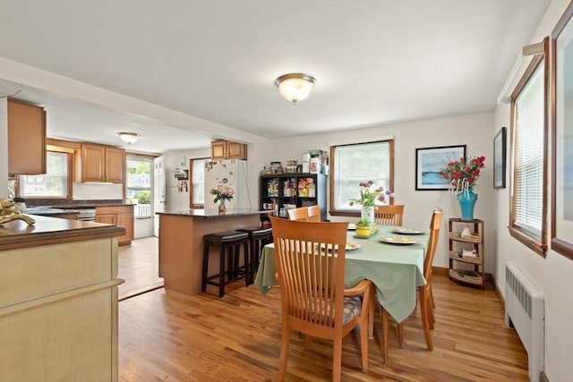 82 Brickel Rd, Stoughton, MA 02072 - dining space with radiator heating unit and light wood-type flooring