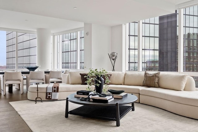 living area featuring expansive windows and wood finished floors