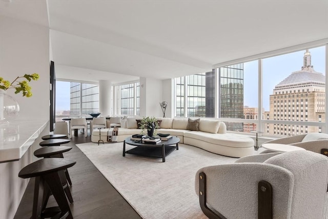 living room featuring a view of city, wood finished floors, and floor to ceiling windows