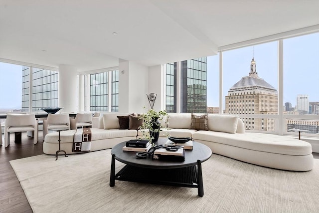 living area featuring a wall of windows, a city view, and wood finished floors