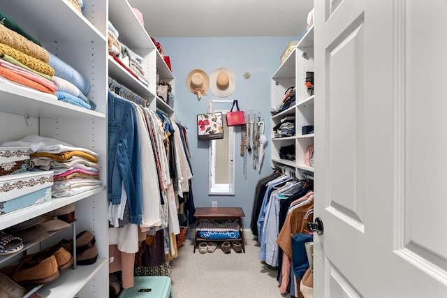 walk in closet featuring carpet floors