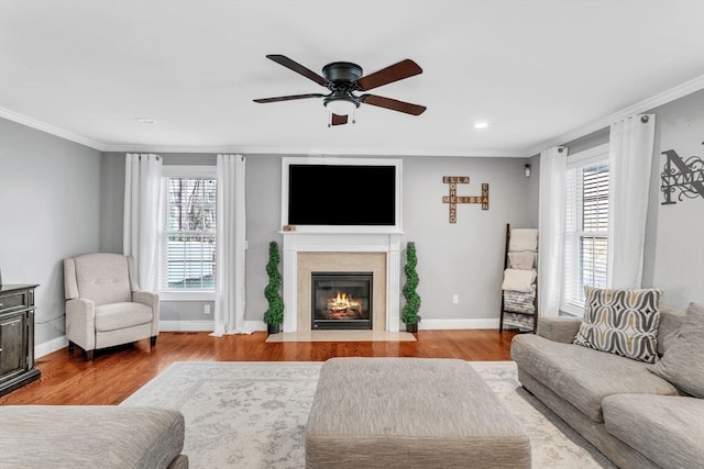 living room with ceiling fan, light hardwood / wood-style floors, a healthy amount of sunlight, and crown molding