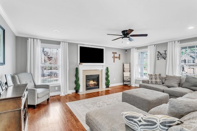 living room with ceiling fan, wood-type flooring, and crown molding