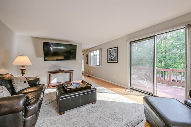 9 Country Club Ln Unit A, Milford, MA 01757 - living room featuring light wood-style flooring and baseboards