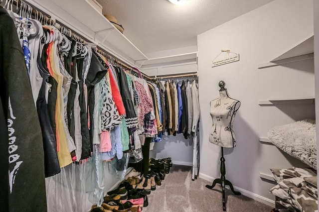 9 Country Club Ln Unit A, Milford, MA 01757 - walk in closet with carpet