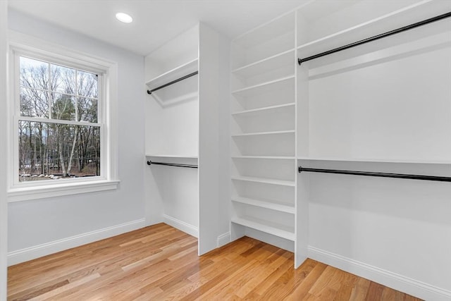 walk in closet with light wood-style flooring