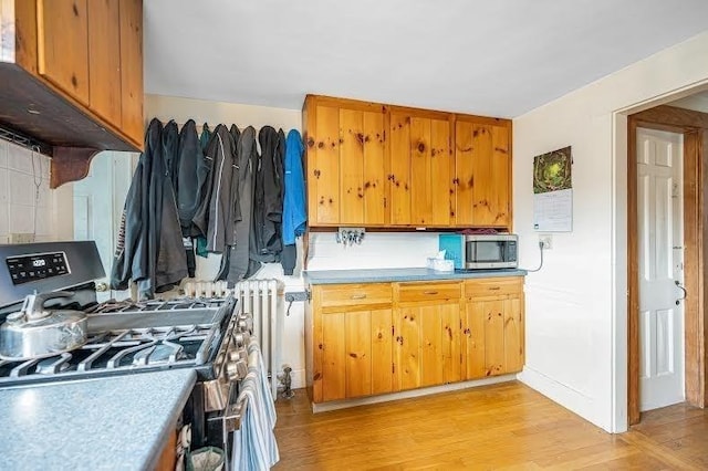 145 Lexington Rd, Billerica, MA 01821 - kitchen featuring appliances with stainless steel finishes, light wood-type flooring, light countertops, and radiator heating unit