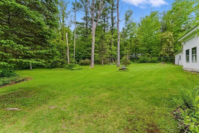 19 Buffington Hill Rd, Worthington, MA 01098 - view of grassy yard