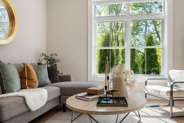 living area with healthy amount of natural light and wood finished floors