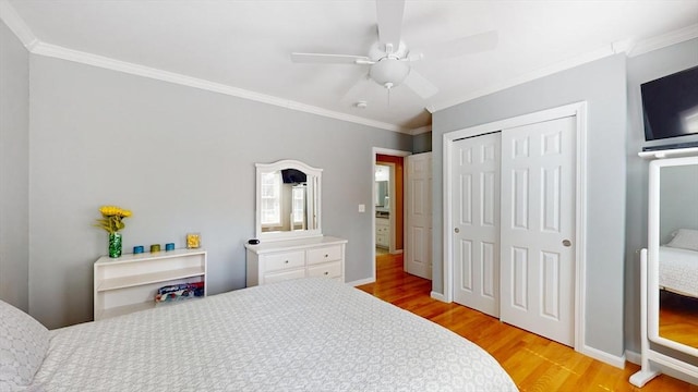 bedroom with a closet, light wood finished floors, a ceiling fan, and ornamental molding