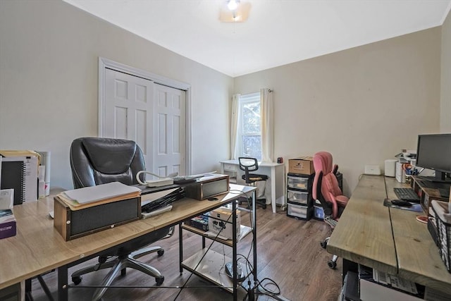 office area featuring hardwood / wood-style floors