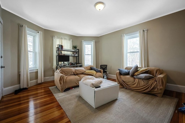 living room featuring hardwood / wood-style flooring