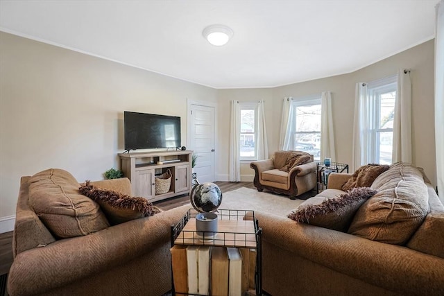 living room with hardwood / wood-style floors