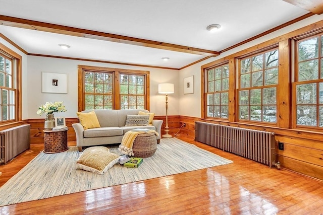 living room featuring a wainscoted wall, radiator heating unit, beam ceiling, and a healthy amount of sunlight