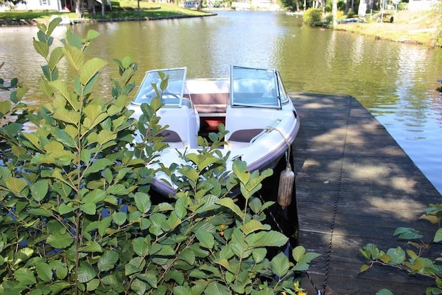 dock area with a water view