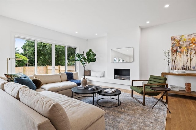 living room featuring hardwood / wood-style flooring