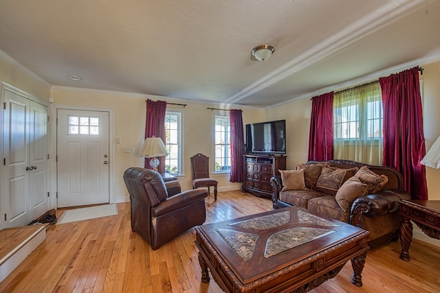 living room featuring crown molding and light hardwood / wood-style flooring