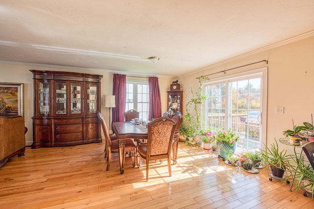 dining space with light hardwood / wood-style floors and crown molding