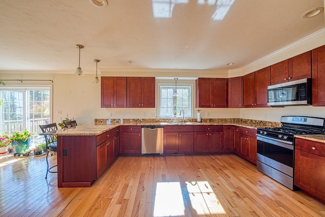 kitchen featuring appliances with stainless steel finishes, hanging light fixtures, light wood-type flooring, and plenty of natural light