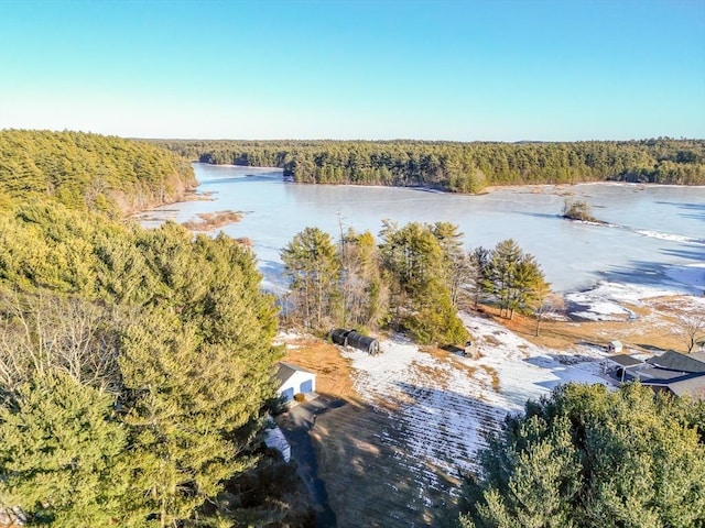 property view of water with a view of trees