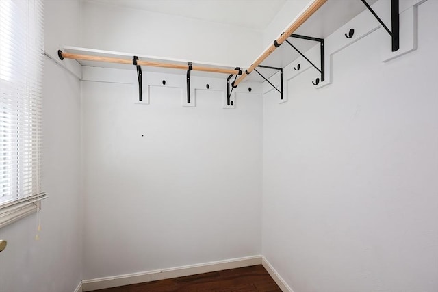 spacious closet featuring dark wood-style floors